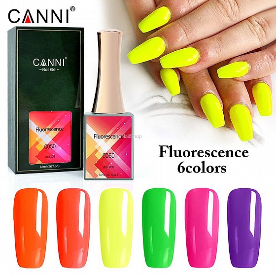 �� �������� ������� FLUORESCENCE ���� ���� 6������