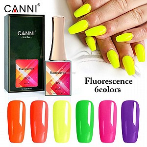 �� �������� ������� FLUORESCENCE ���� ���� 6������