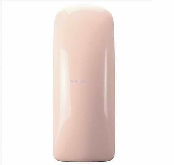 �� �� ������ GP magnolia