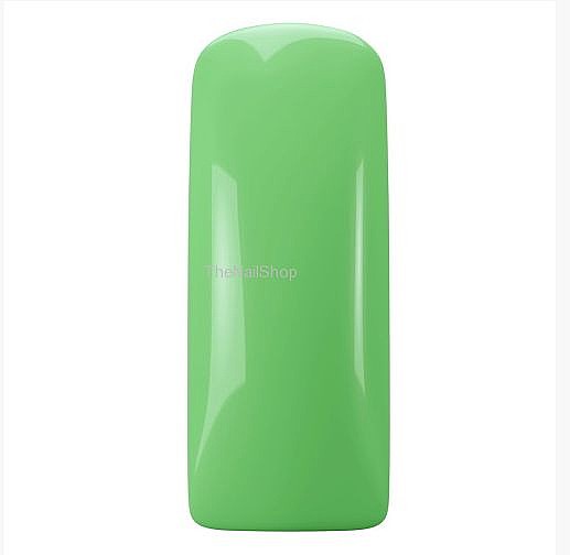 �� �� ������ GP Kiwi
