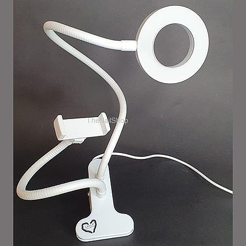 ���� �� ������ - ���� ������
