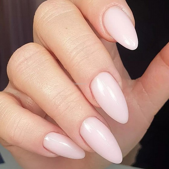 ����-BLUSH ���� �� ���� Sassy ������