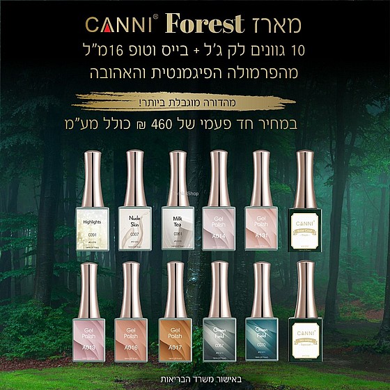 ����  ����� forest ���� ���� CANNI ������� ������