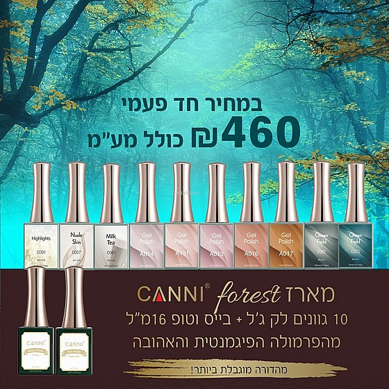 ����  ����� forest ���� ���� CANNI ������� ������