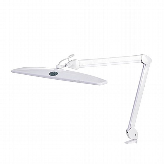 ����� ����� ������ �� ����