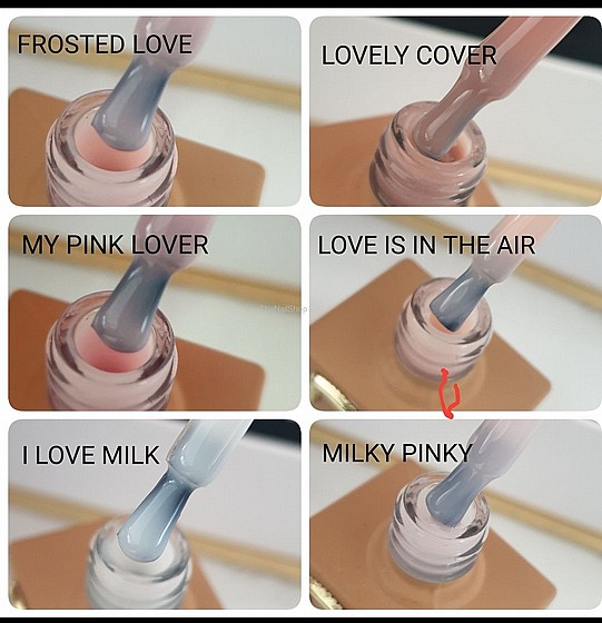 �� 6 ������ LOVER BASE ������ ������