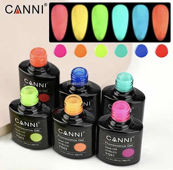 �� ��� ���� ����� �� 6 ������ ���� -CANNI