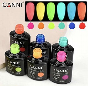 �� ��� ���� ����� �� 6 ������ ���� -CANNI