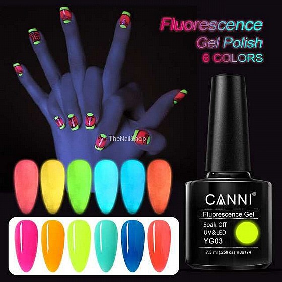 �� ��� ���� ����� �� 6 ������ ���� -CANNI