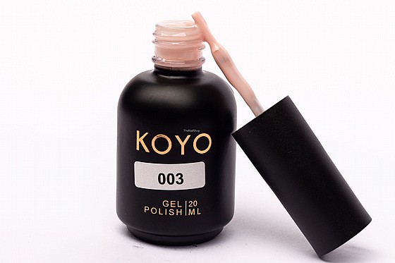�� �� ���� KOYO 003 