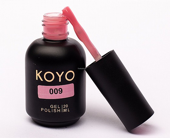 �� �� ���� KOYO 009 