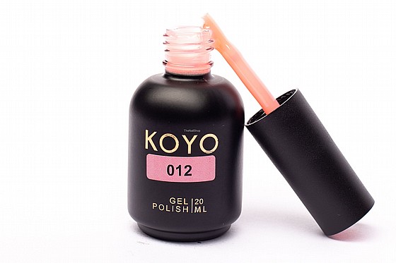 �� �� ���� KOYO 012 