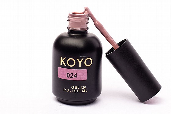 �� �� ���� KOYO 024 