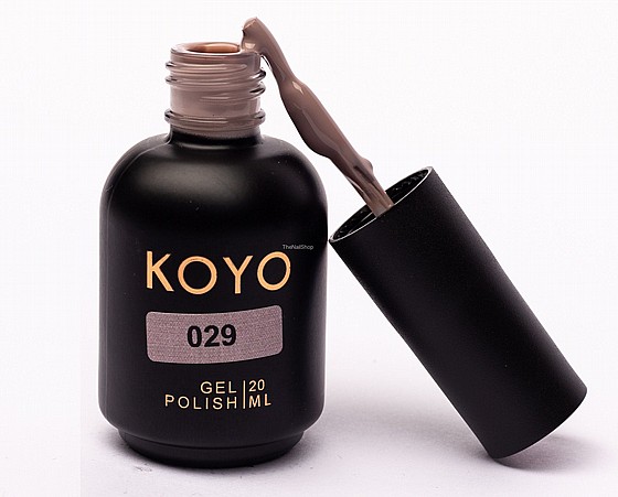 �� �� ���� KOYO 029 