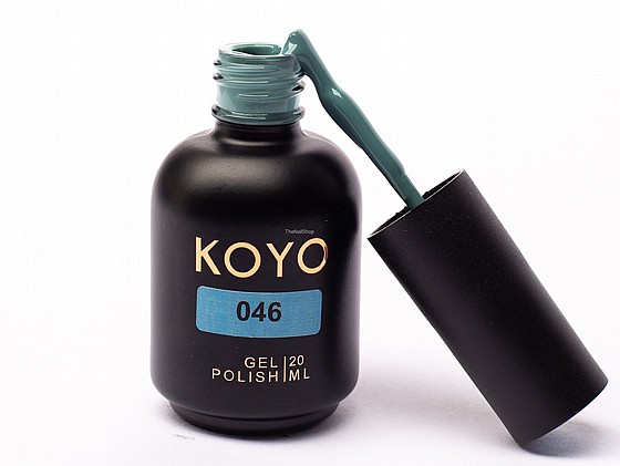 �� �� ���� KOYO 046 