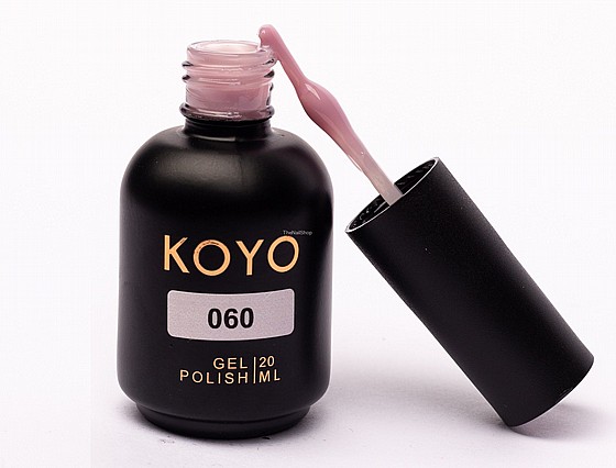 �� �� ���� KOYO 060 