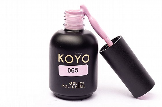 �� �� ���� KOYO 065 