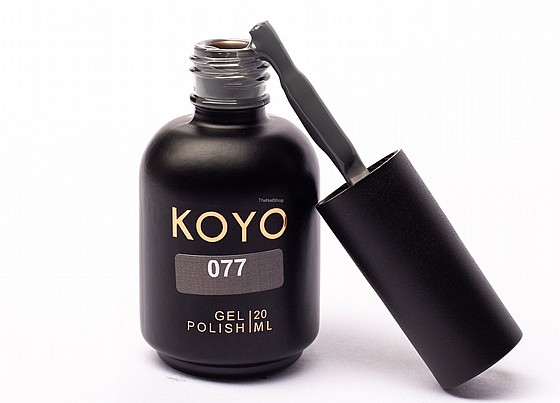 �� �� ���� KOYO 077 