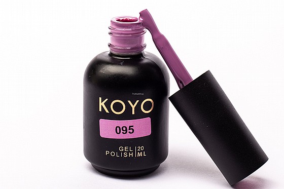 �� �� ���� KOYO 095 