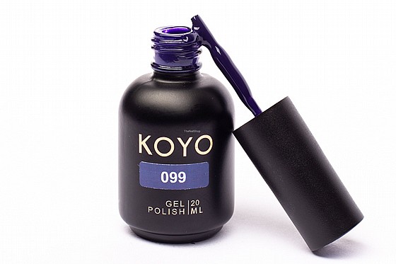 �� �� ���� KOYO 099 