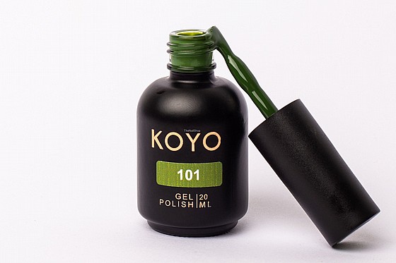 �� �� ���� KOYO 101 