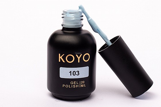 �� �� ���� KOYO 103 
