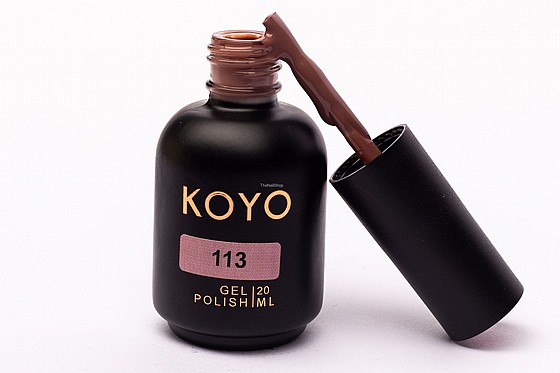 �� �� ���� KOYO 113 