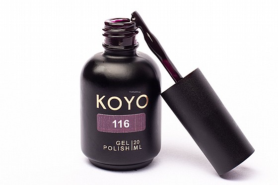 �� �� ���� KOYO 116 