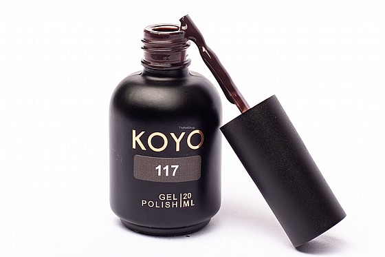 �� �� ���� KOYO 117 