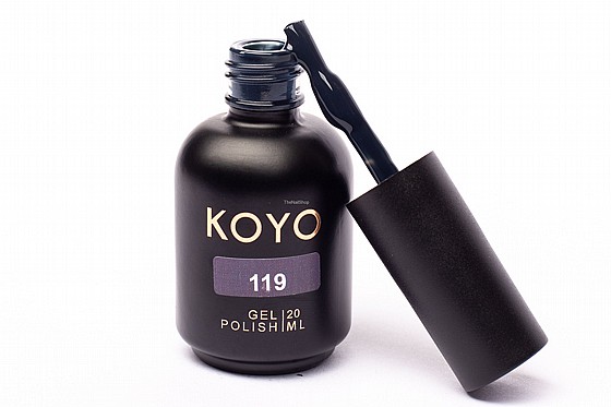 �� �� ���� KOYO 119 
