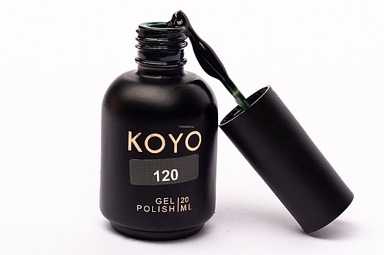 �� �� ���� KOYO 120 