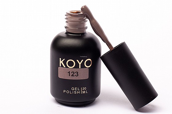 �� �� ���� KOYO 123 