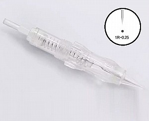 ��� R1, 0.25 ������ ������ ������