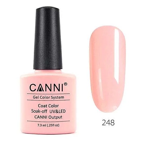 �� �� ���� 248