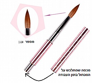 ����� ����� ���� 14