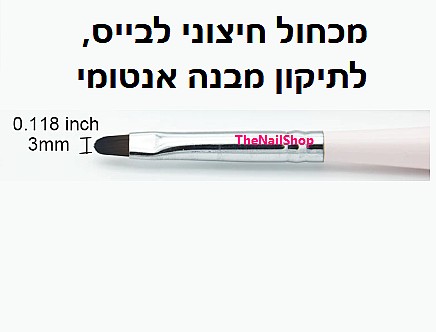 ����� ������ ����� ������