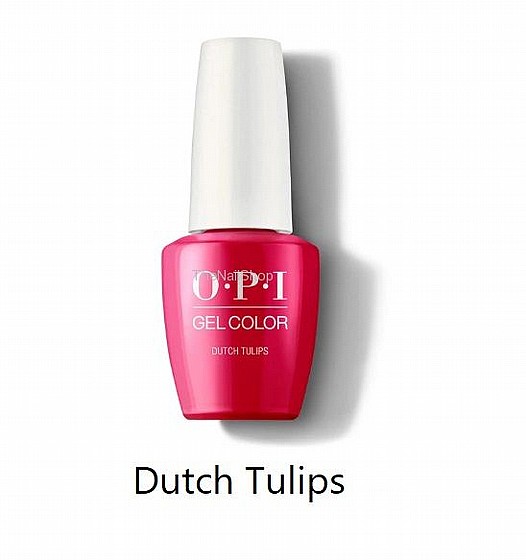 Dutch Tulips