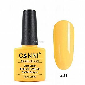 �� �'� ���� 231