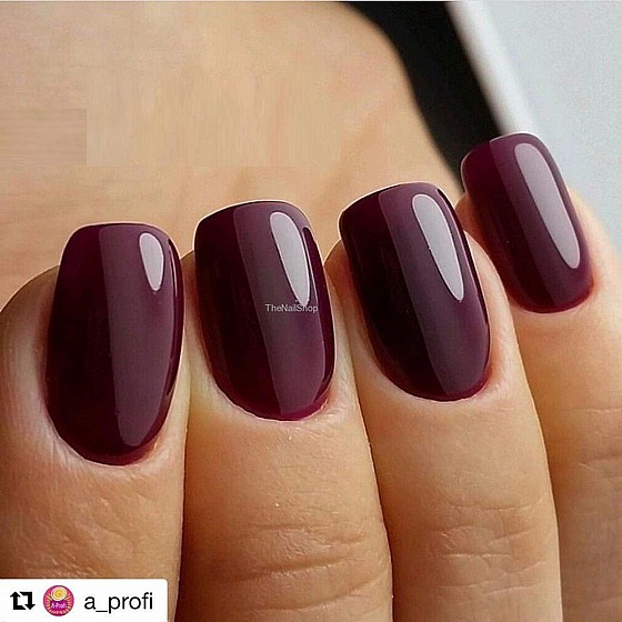 ����� 101 GRATTOL