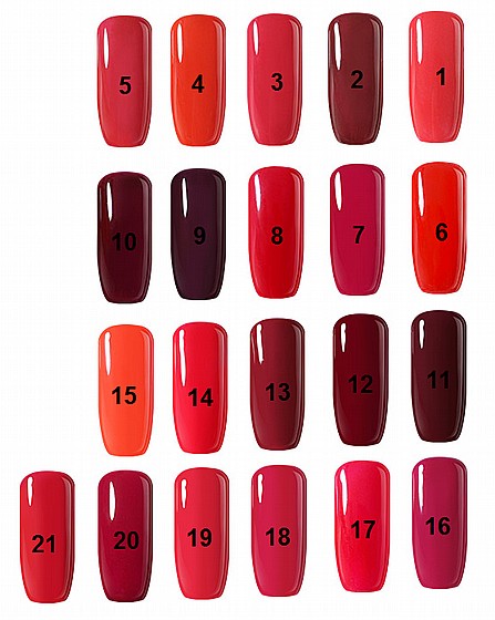 �� �� NAILSHOP ���� �������
