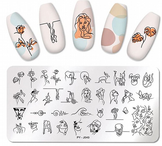 ���� ������ ������ ���� ��� ���