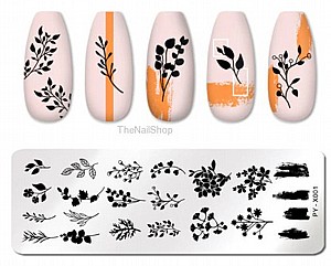 ���� ������ ����